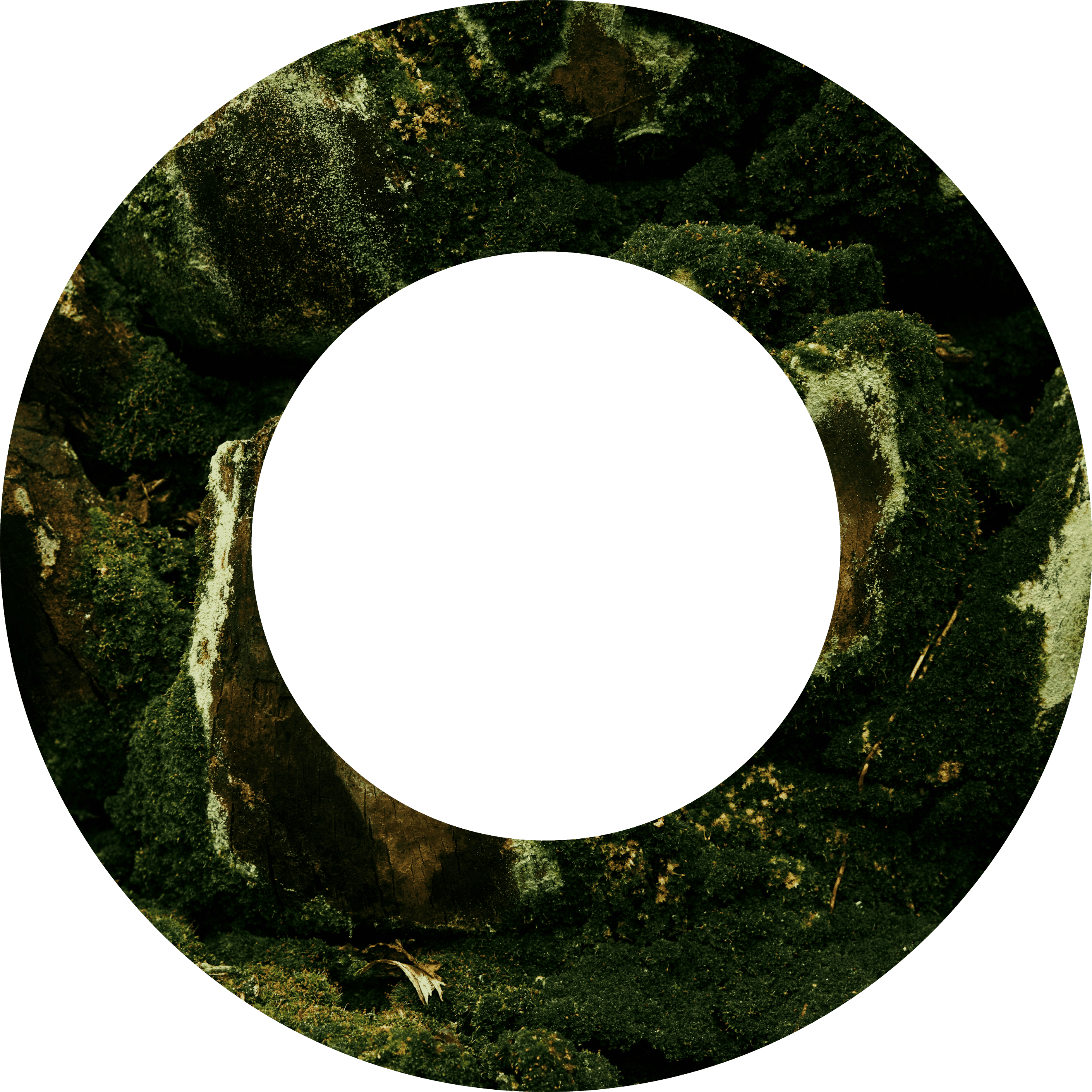 360 degree view