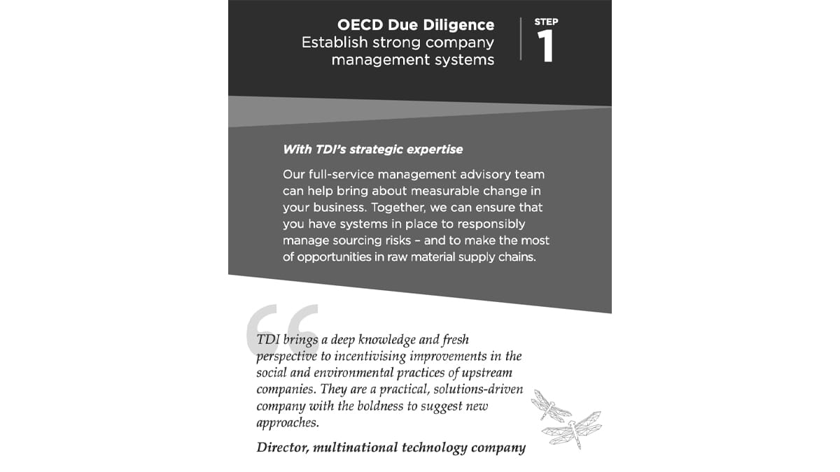 OECD-due-diligence-1200x675-2