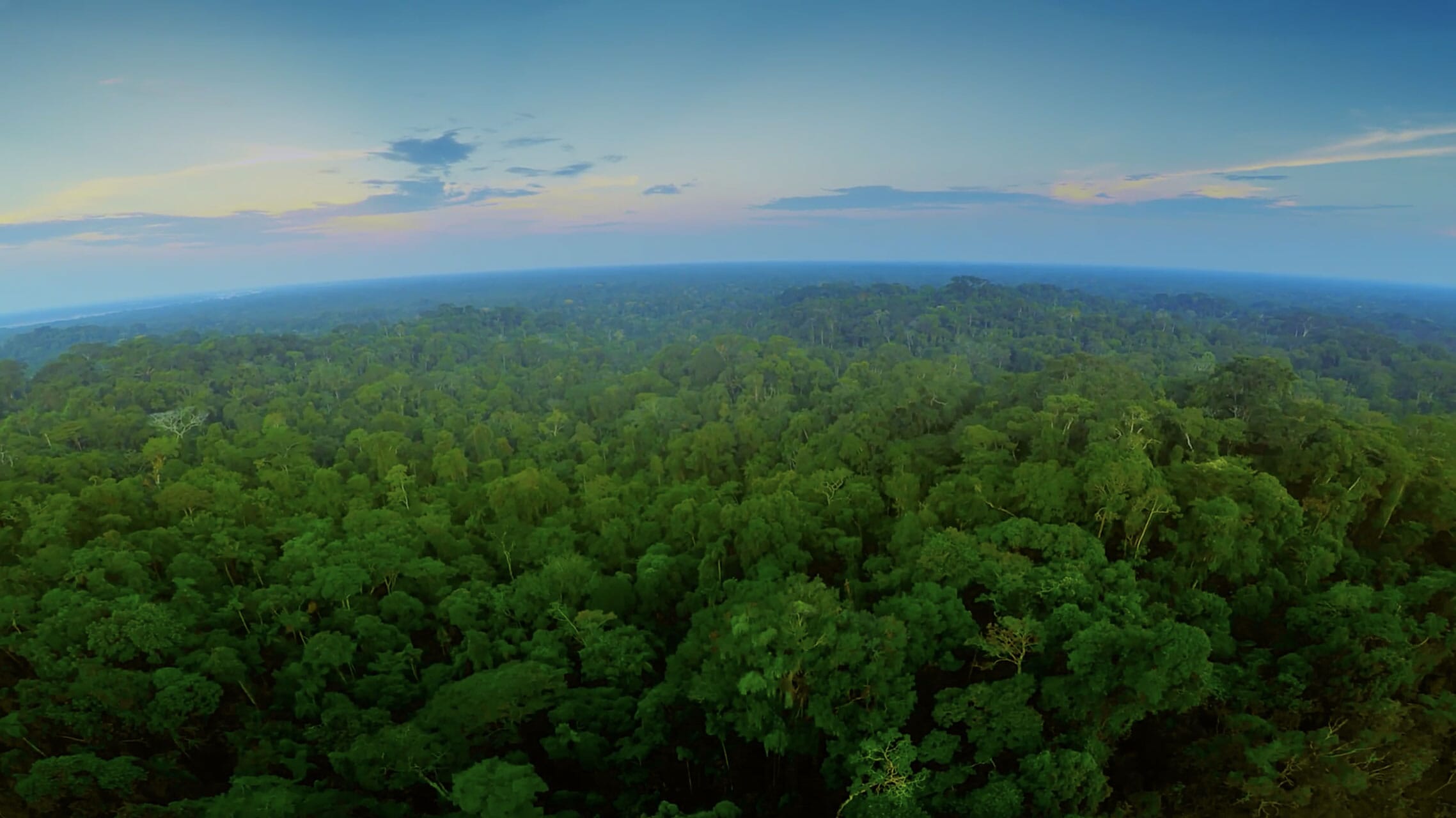 rain-forest-2277x1280-1