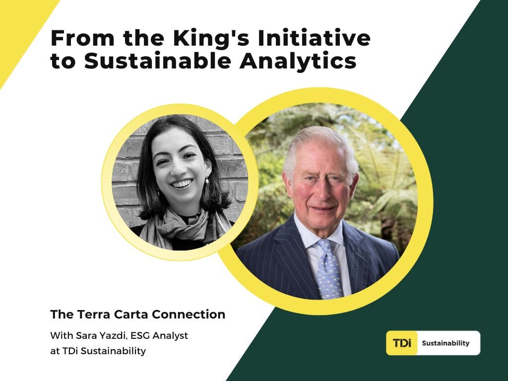 From-the-Kings-Initiative-to-Sustainable-Analytics-2