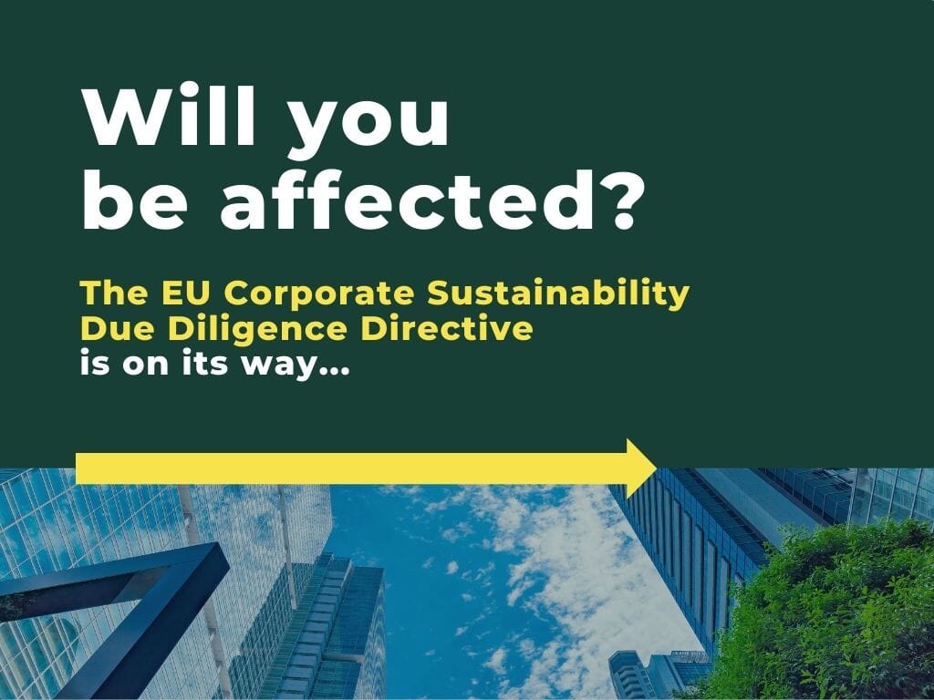 The-EU-Corporate-Sustainability-Due-Diligence-Directive