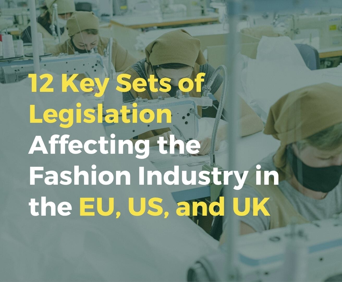 TDi-website-images-square-29