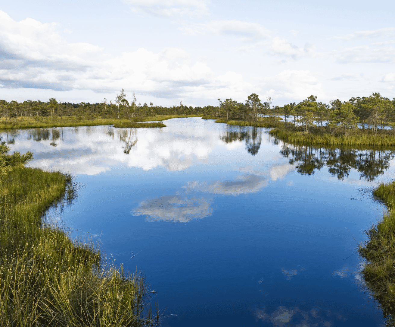 TDi-website-images-square-24