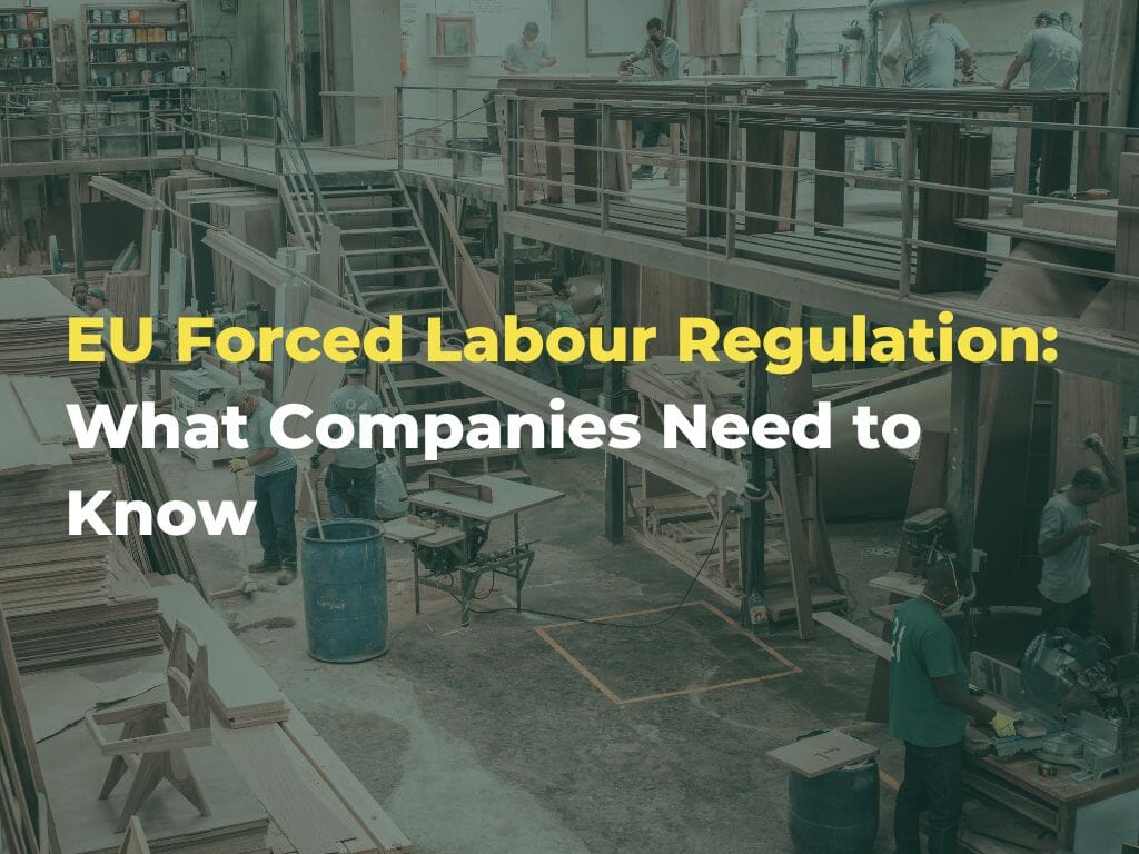 EU-Forced-Labour-Regulation-What-Companies-Need-to-Know