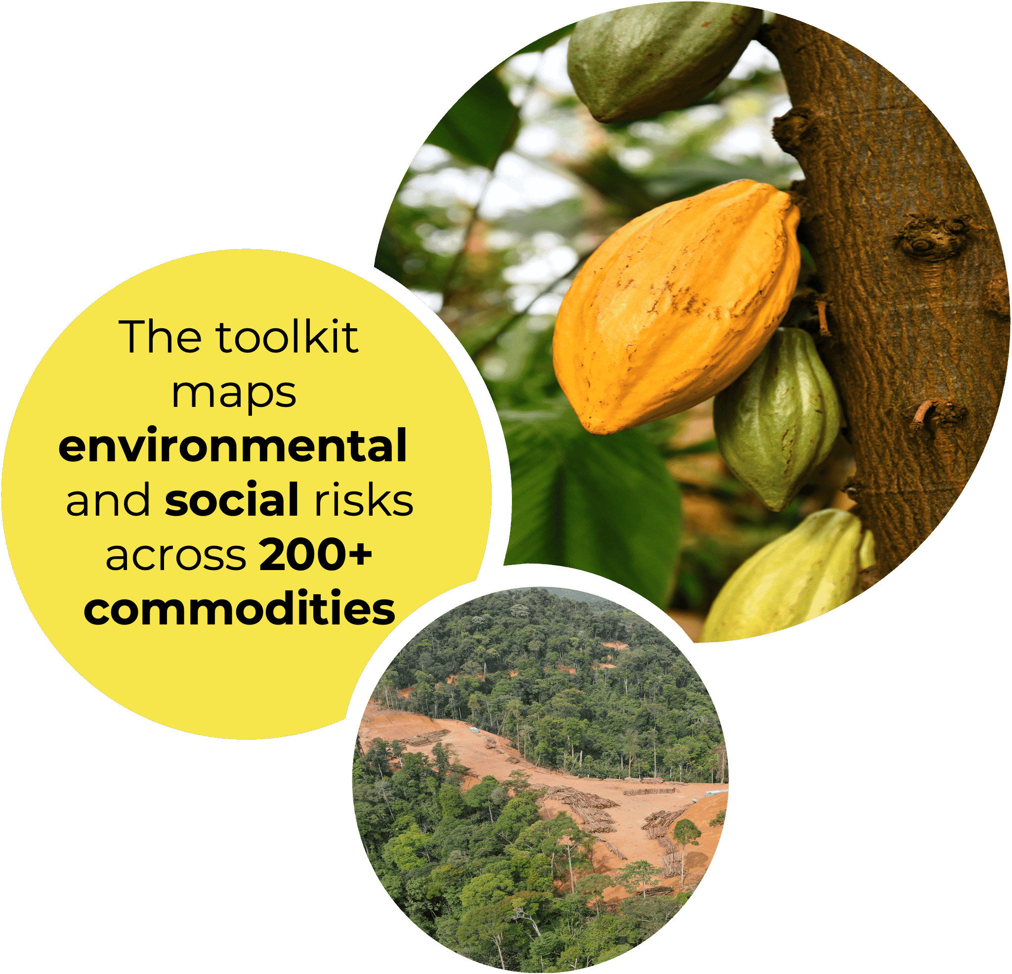Environmental and Social risk toolkit