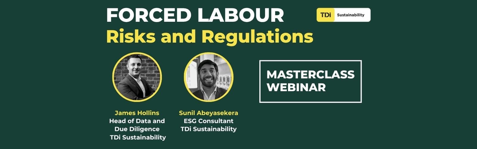 TDi forced labour webinar