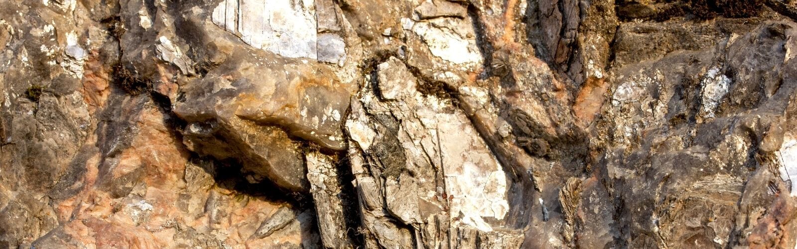 Mica inclusions
