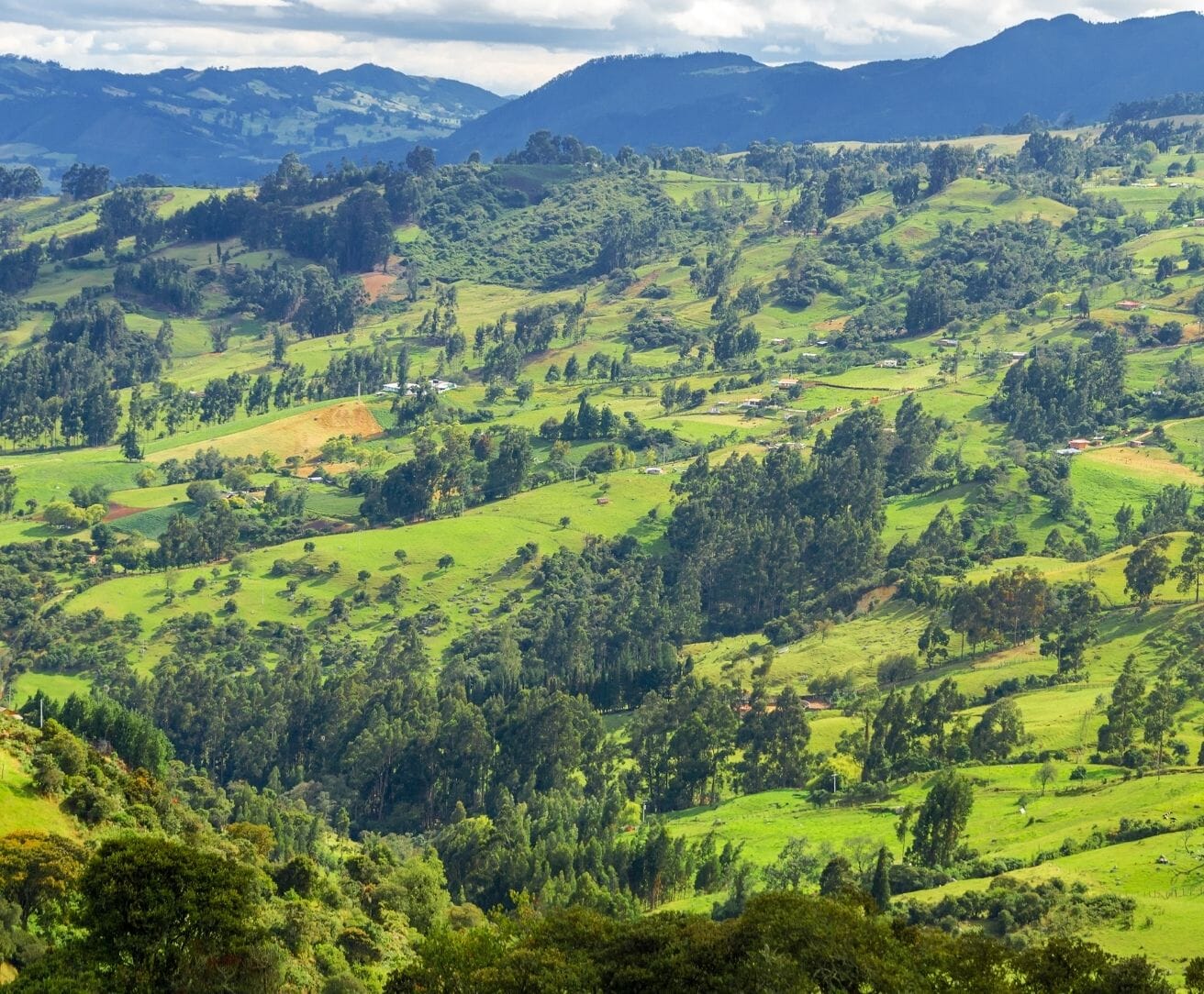 Colombia countryside