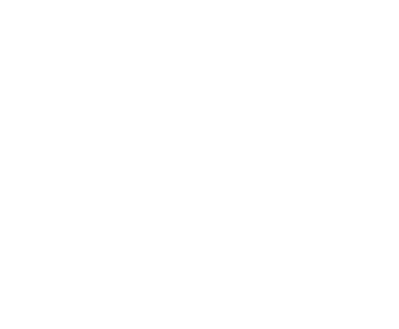 CiPPPA logo white