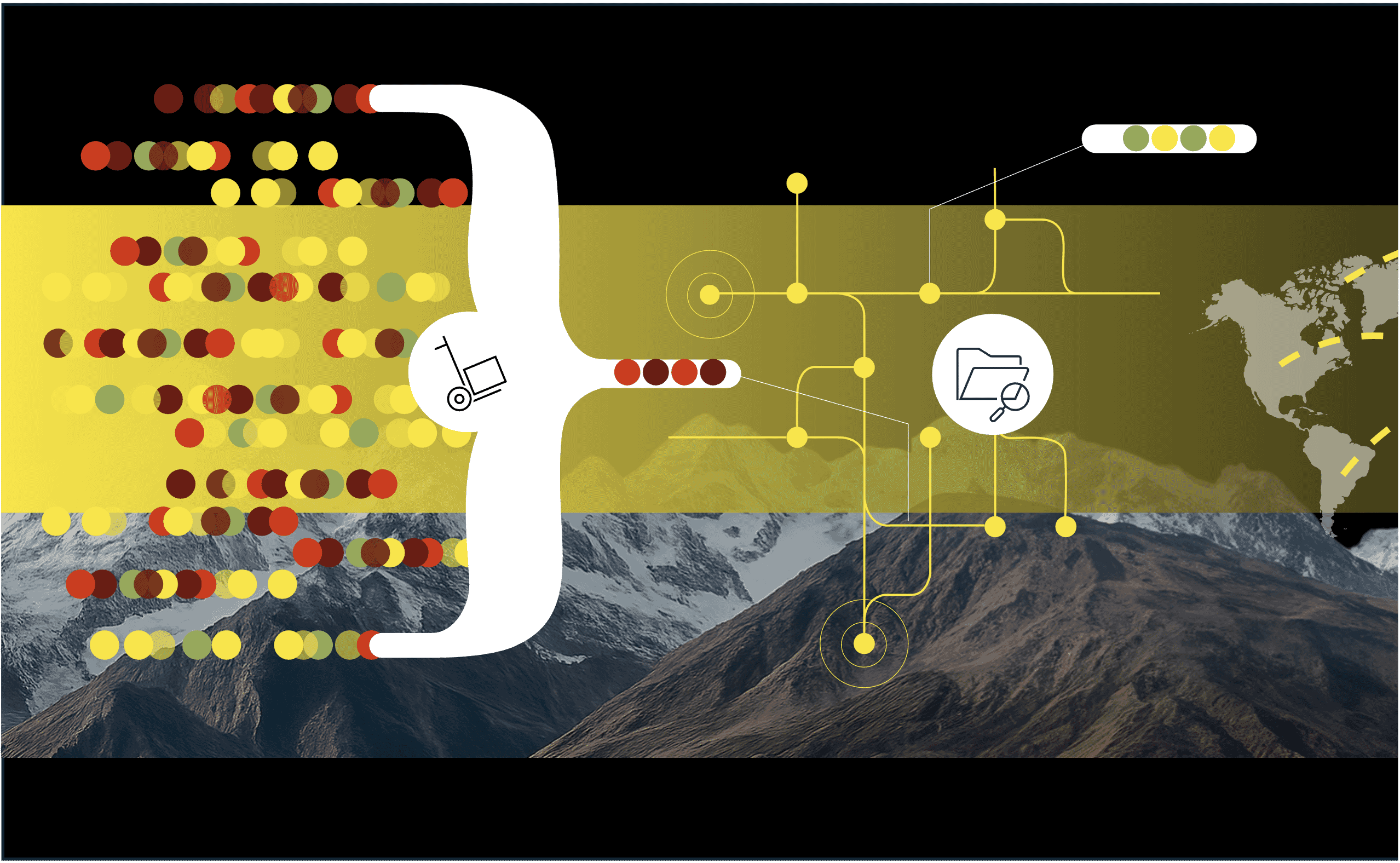 Supply chain and due diligence tool
