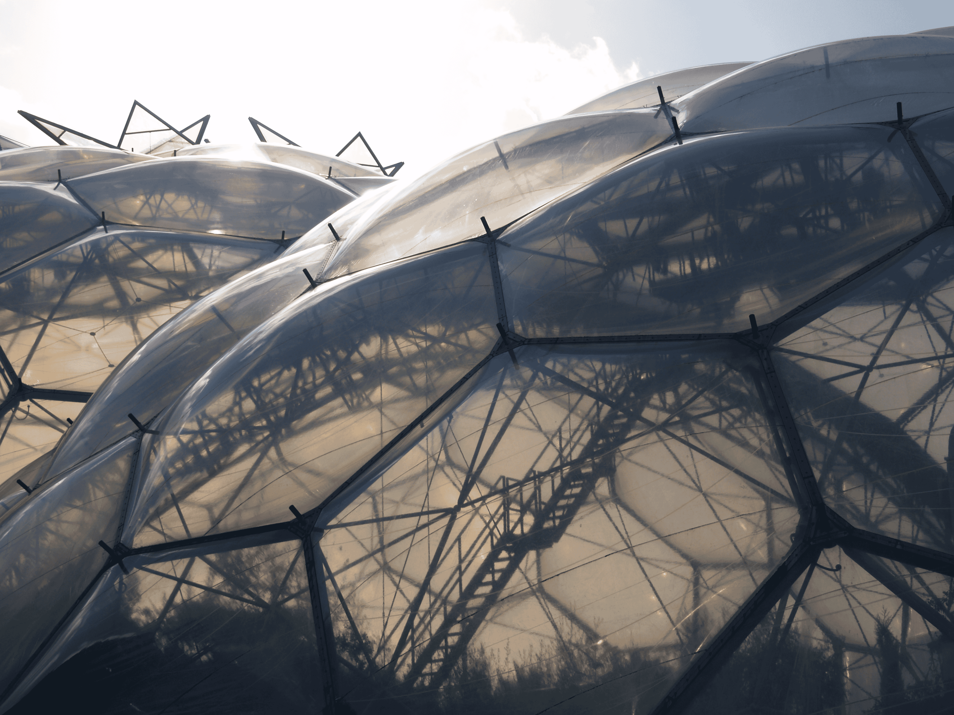 Eden-Project_UK_credit-P.Whitbread-Abrutat