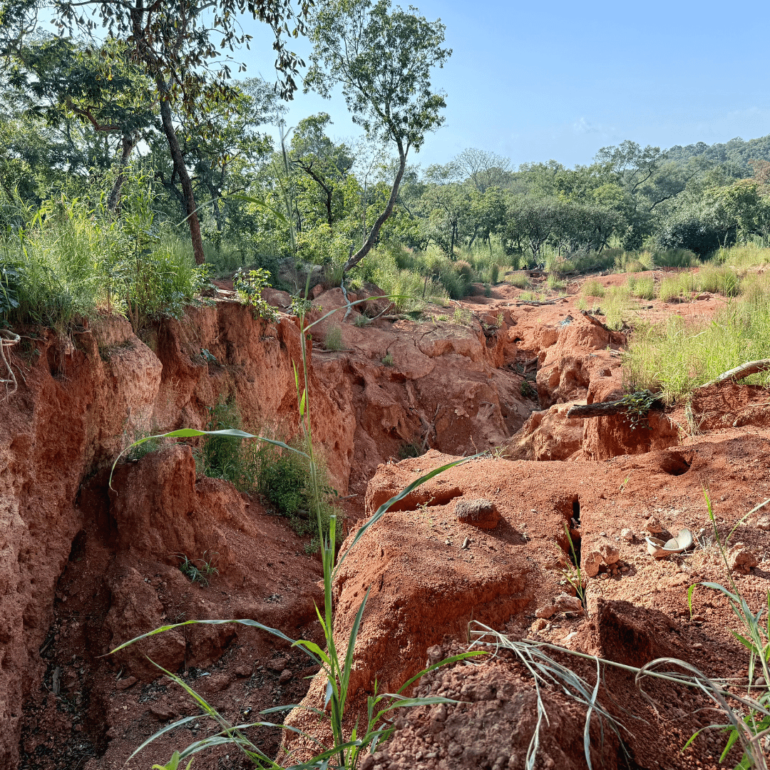 Social-Media-Posts-Templates-21