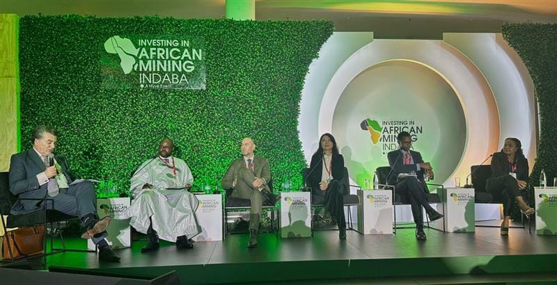 Partnerships - Guinea - Mining Indaba panel 2026