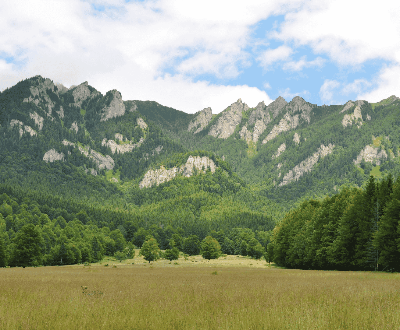 TDi-website-images-square-26