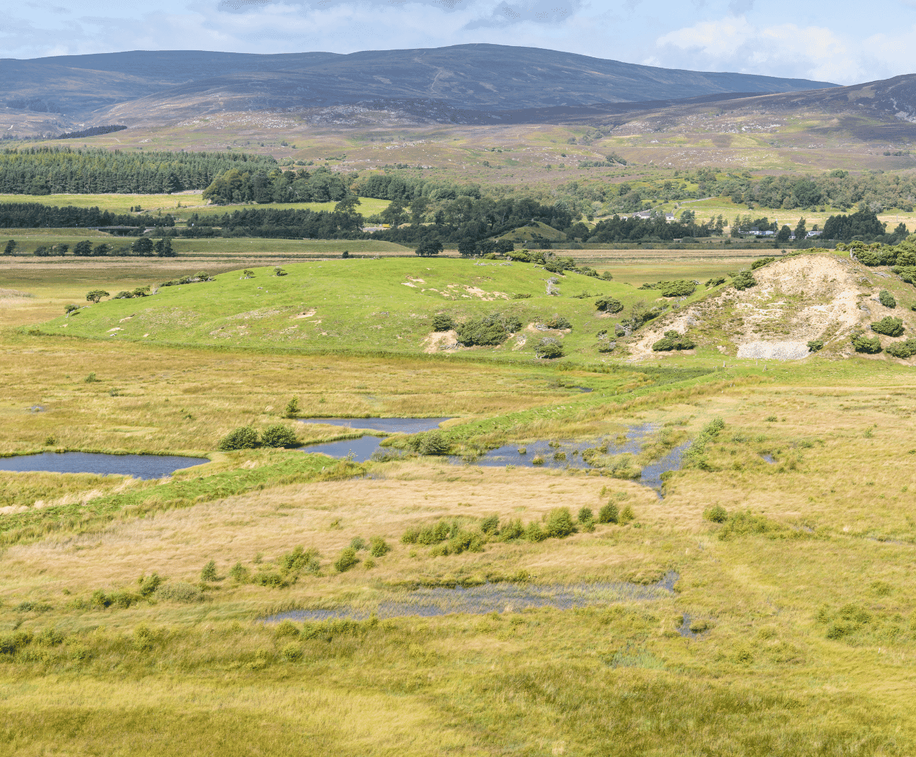 TDi-website-images-square-27