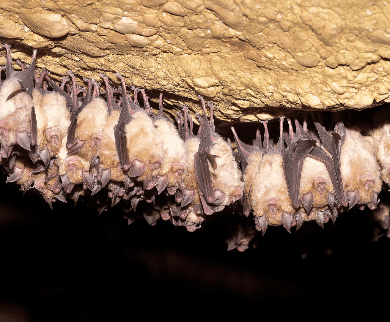 TDi-website-images-square-28