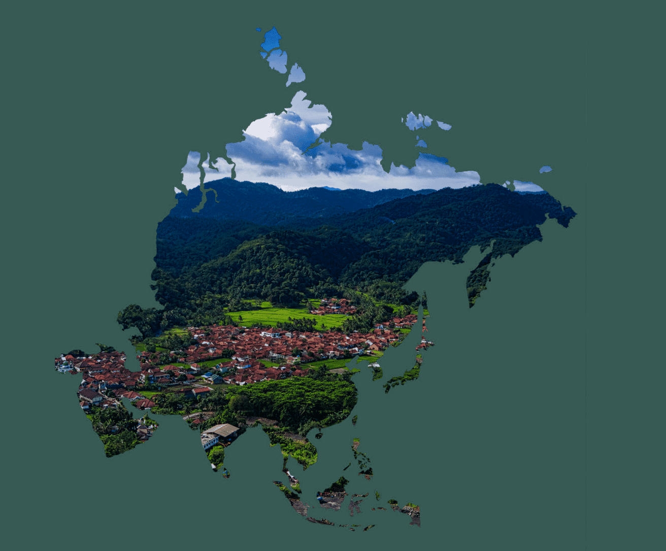 TDi-website-images-square-33